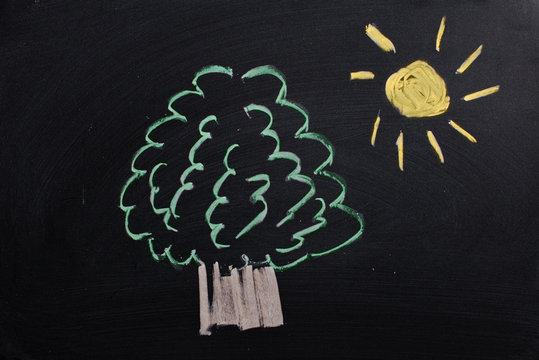 Trees and the sun drawn colored chalk on a blackboard