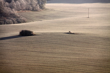 Rounded hills of the winter fields