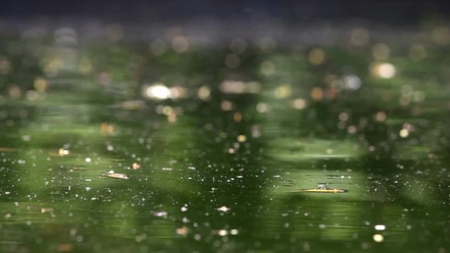 water surface