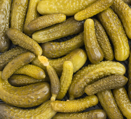 Pickled Gherkins or Cucumbers Background