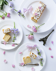 ガトー・インビジブル