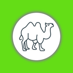 Camel icon vector
