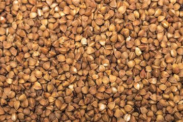 The bright closeup background from  buckwheat