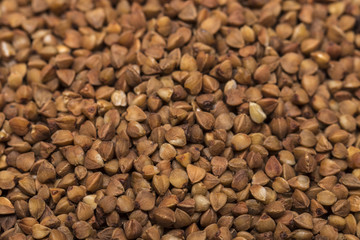 The bright closeup background from  buckwheat