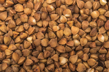 The bright closeup background from  buckwheat