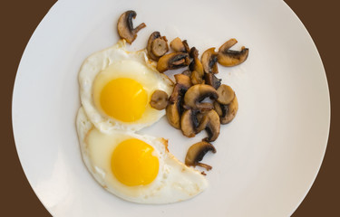 Fried Organic Eggs with Mushrooms on a White Plate