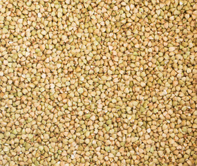 Dry Green Buckwheat Background