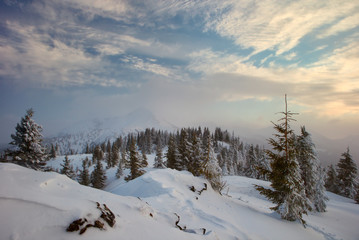winter forest and mountains Carpathians