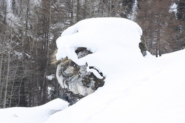 verschneiter Felsen bei Zermatt