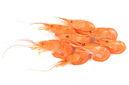 shrimps on an isolated background