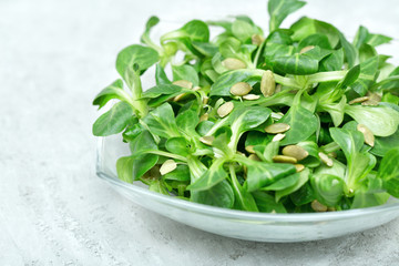Young spinach in a glass plate
