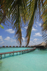 Typical Maldives bungalows on piles with light turquoise sea and palm leaves on foreground