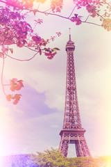Spring at Paris with Eiffel Tower and blooming cherry blossom tree vintage film color stylized with light leaks