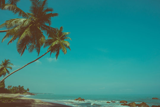Empty remote tropical beach with exotic coconut palm trees vintage color stylized
