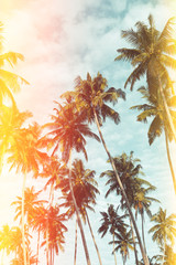 Fototapeta premium Coconut palm trees on tropical beach vintage nostalgic film color filter stylized and toned
