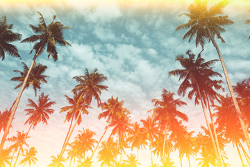 Naklejka premium Coconut palm trees on tropical beach vintage nostalgic film color filter stylized and toned