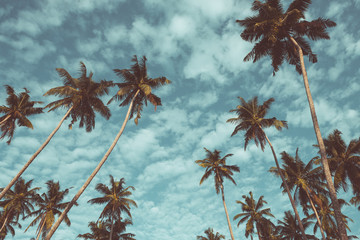 Fototapeta na wymiar Coconut palm trees on tropical beach vintage nostalgic film color filter stylized and toned