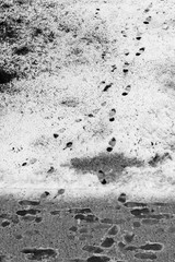 Footprints in snow. Minimalistic black and white scene.
