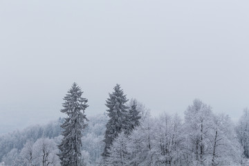 Fototapeta na wymiar Foggy winter landscape