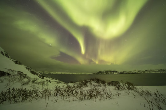 Northern Lights on the Kola Peninsula. Teriberka, Murmansk regio