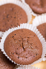 Chocolate muffins cupcakes served on the plate