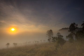 Fototapeta na wymiar Morning view in national park