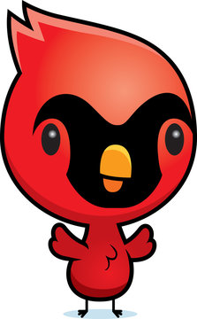 Cartoon Cardinal