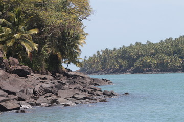 Guyane - Iles du Salut - Oct 2015