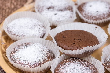 Chocolate cupcake muffin with powdered sugar