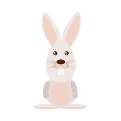 Easter rabbit icon image design, vector illustration