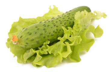Cucumber on a white background