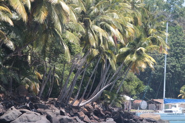 Guyane - Iles du Salut - Oct 2015