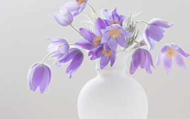 spring flowers in vase on white background