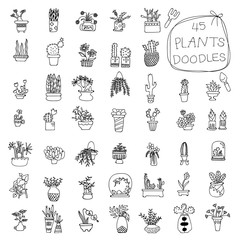 Potted Plants doodles drawing
