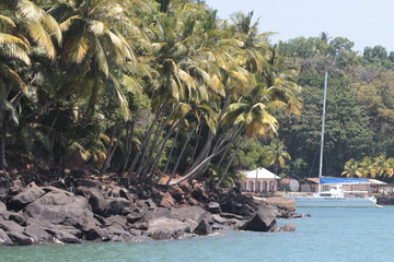 Guyane - Iles du Salut - Oct 2015