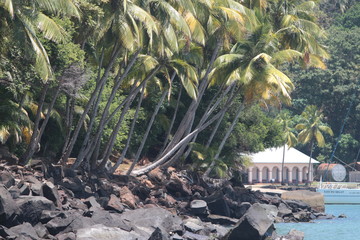 Guyane - Iles du Salut - Oct 2015