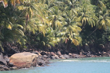 Guyane - Iles du Salut - Oct 2015