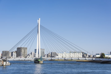 隅田川の中央大橋