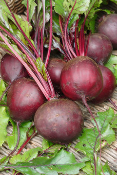 Fresh raw beetroots on leaves