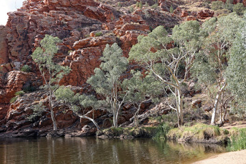 Ellery creek big hole