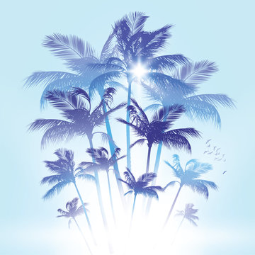 Coconut palm trees background