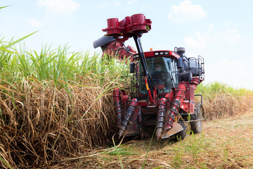 Sugarcane harvester machine