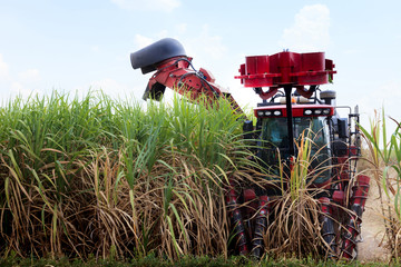 Sugarcane harvester machine