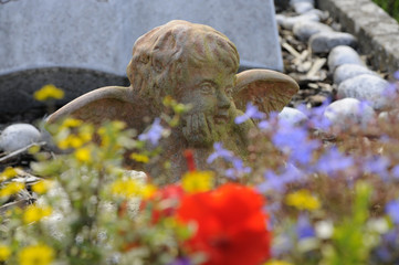 grabengel hinter blumen