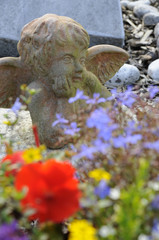 grabengel hinter blumen