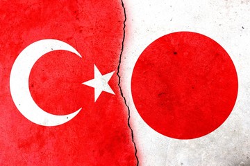 The thin crack in the wall. Flags: Turkey, Japan