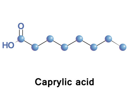 Caprylic acid is a saturated fatty acid. Its compounds are found naturally in the milk of various mammals, and as a minor constituent of coconut oil and palm kernel oil