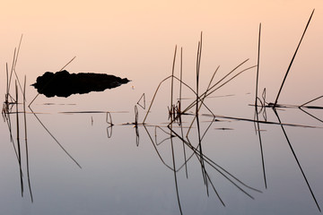 Dry Grass with Reflection at Long Pine Key Lake at Everglades National Park, Florida. 