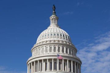 Obraz premium Dome of Capitol Washington DC