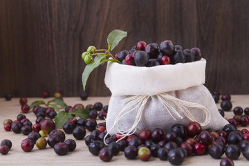 Fruits of wild grapes on different backgrounds (Vaccinium meridionale)